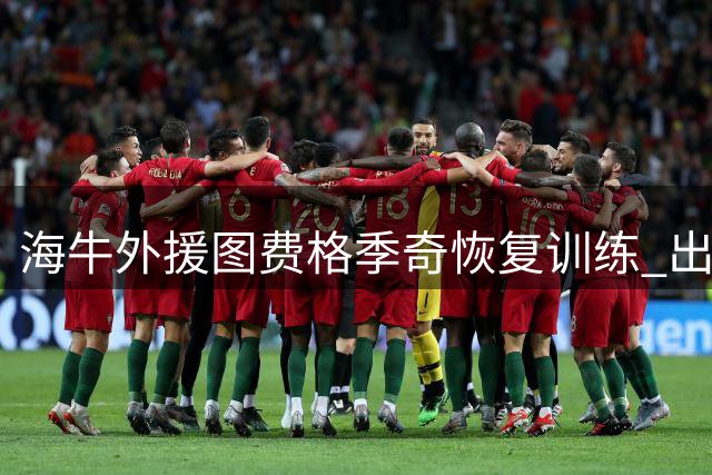 海牛外援图费格季奇恢复训练 出战泰山队前景未明
